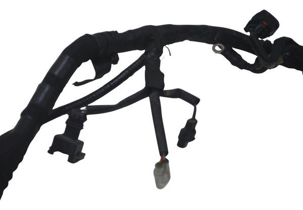 Chicote Principal Royal Enfield Meteor 350 22-25 Original