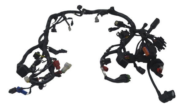 Chicote Principal Royal Enfield Meteor 350 22-25 Original