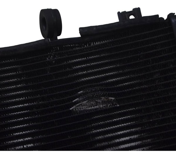 Radiador C/ Avaria Kawasaki Ninja Zx 14r 10-13 Original