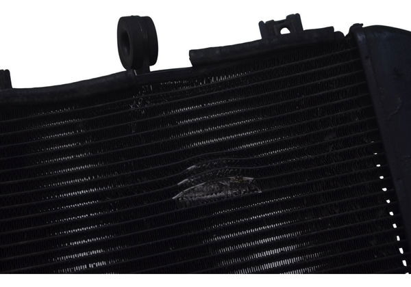 Radiador C/ Avaria Kawasaki Ninja Zx 14r 10-13 Original