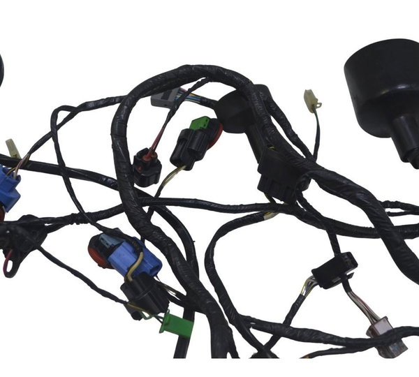 Chicote Principal Kawasaki Ninja Zx 14r 10-13 Original