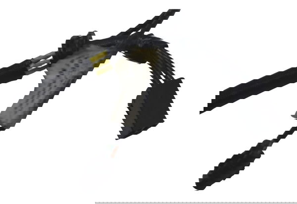 Estator Royal Enfield Meteor 350 22-25 Original