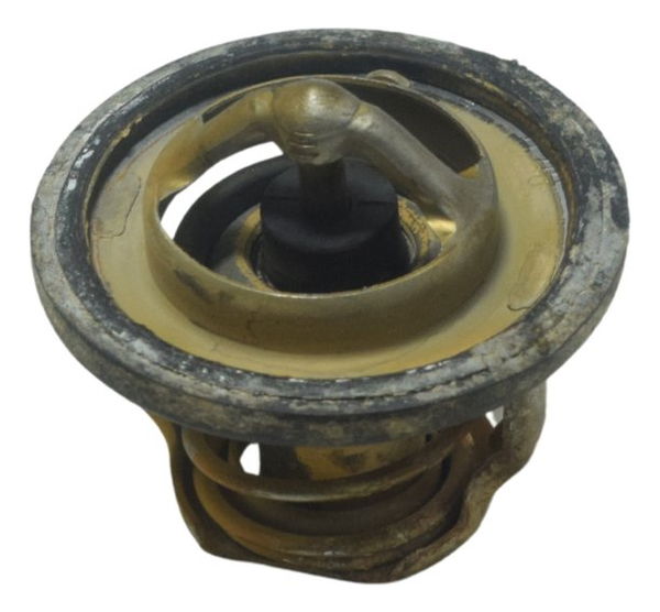 Válvula Termostática Suzuki Burgman 650 07-15 Original