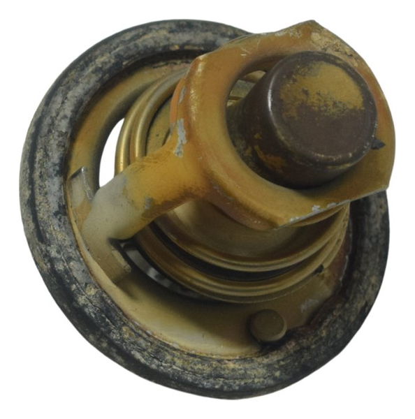 Válvula Termostática Suzuki Burgman 650 07-15 Original