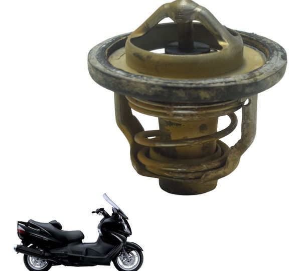 Válvula Termostática Suzuki Burgman 650 07-15 Original