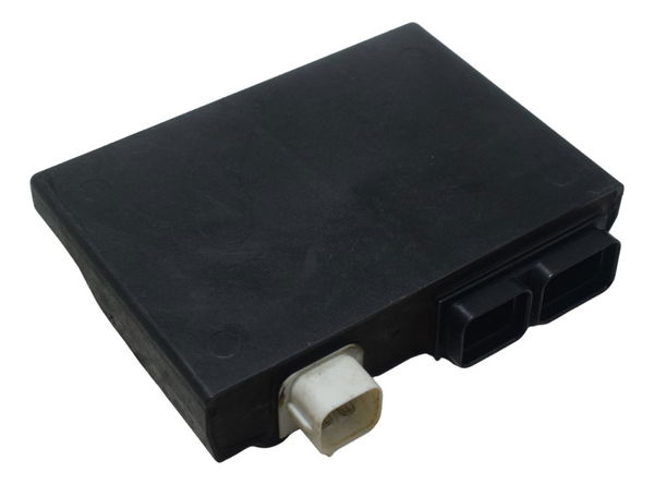 Modulo Injeção Suzuki Burgman 650 07-15 Original