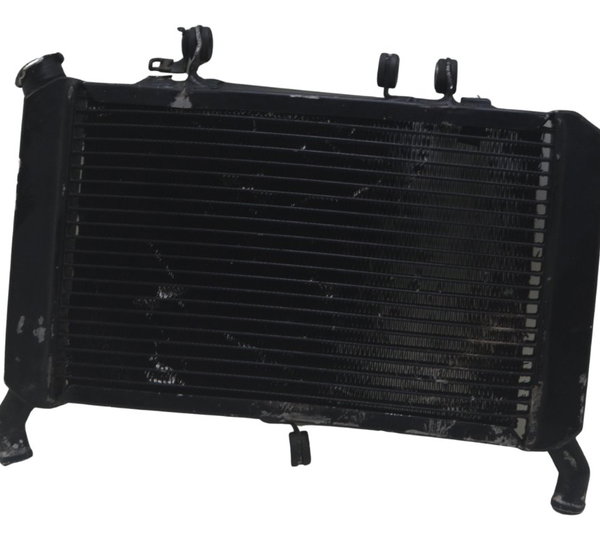 Radiador C/avaria Yamaha Mt 09 15-18 Original