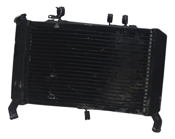 Radiador C/avaria Yamaha Mt 09 15-18 Original