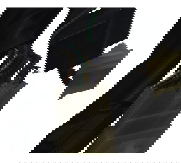 Chicote Principal C/detalhes Yamaha Mt 09 15-18 Original