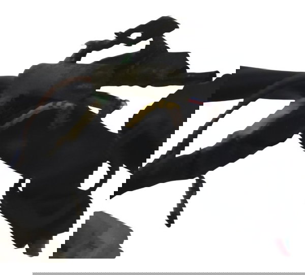 Chicote Principal C/detalhes Yamaha Mt 09 15-18 Original