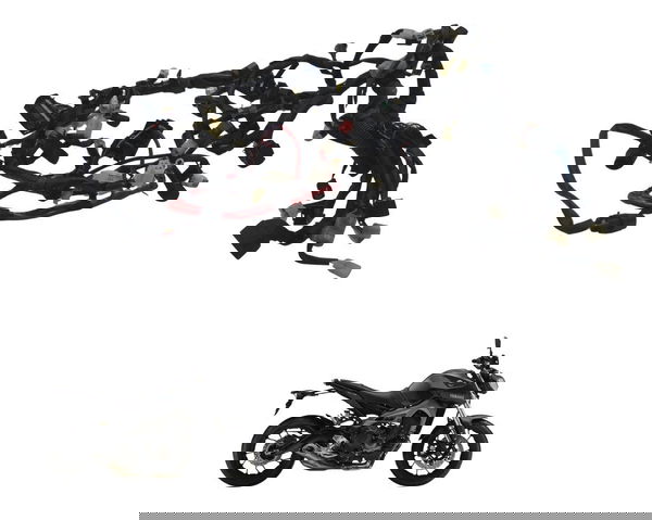 Chicote Principal C/detalhes Yamaha Mt 09 15-18 Original