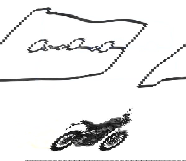 Guarnição Tampa Válvula Yamaha Mt 09 15-18 Original