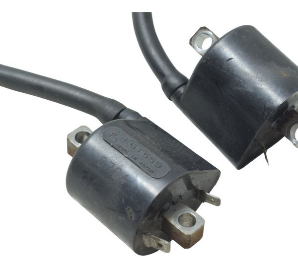 Par Bobina Ignição Suzuki Boulevard M 800 05-08 Original