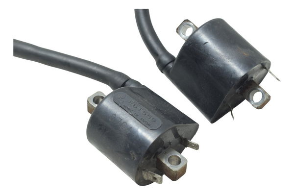 Par Bobina Ignição Suzuki Boulevard M 800 05-08 Original