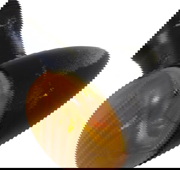 Pisca Traseiro C/avari Suzuki Boulevard M 800 05-08 Original Laranja