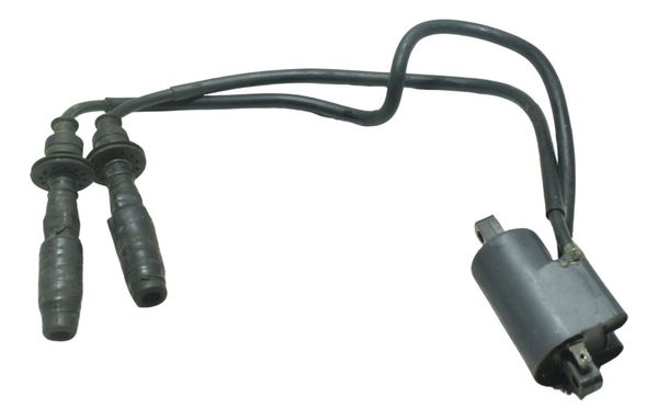 Bobina Ignição Suzuki Gsx-r 1100 W 91-96 Original