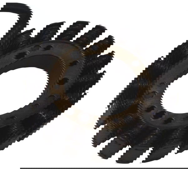 Estator Yamaha Xv Virago 750 94-98 Original