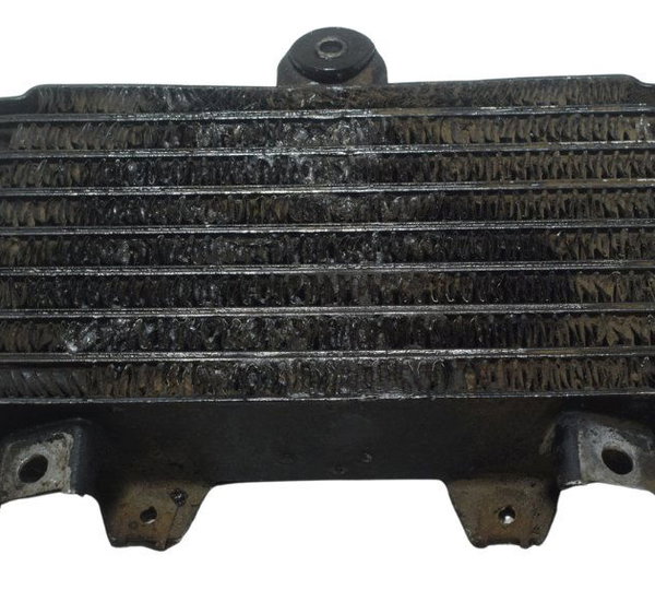 Radiador Óleo Suzuki Gsx-r 1100 W 91-96 Original