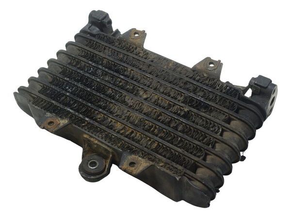 Radiador Óleo Suzuki Gsx-r 1100 W 91-96 Original