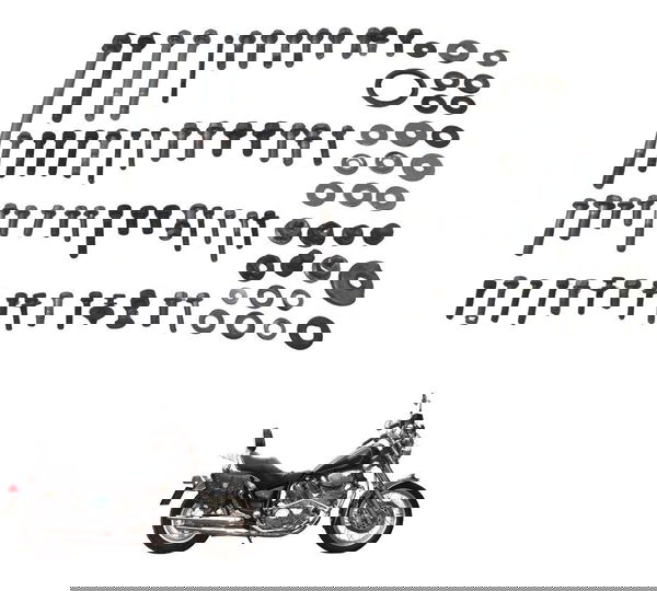 Kit Parafuso Diversos Yamaha Xv Virago 750 94-98 Original