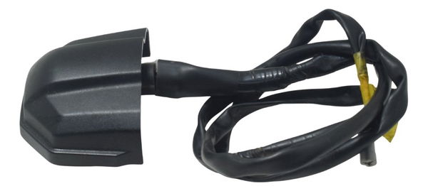 Luz Placa Yamaha Xt 1200z Super Tenere 11-16 Original