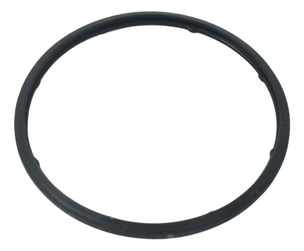 Borracha Vedação Bomba Yamaha Xt 1200z Super Tenere 11-16