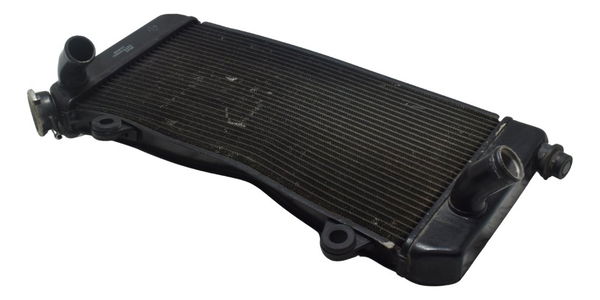 Radiador C/avaria Yamaha Xt 1200z Super Tenere 11-16 Origina