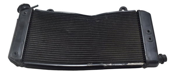 Radiador C/avaria Yamaha Xt 1200z Super Tenere 11-16 Origina