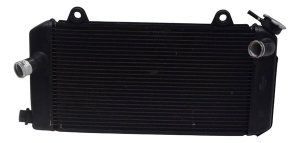 Radiador Yamaha Xt 1200z Super Tenere 11-16 Original
