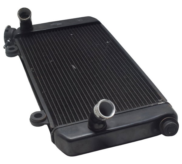 Radiador Yamaha Xt 1200z Super Tenere 11-16 Original