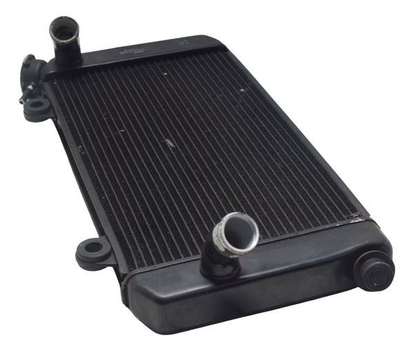 Radiador Yamaha Xt 1200z Super Tenere 11-16 Original