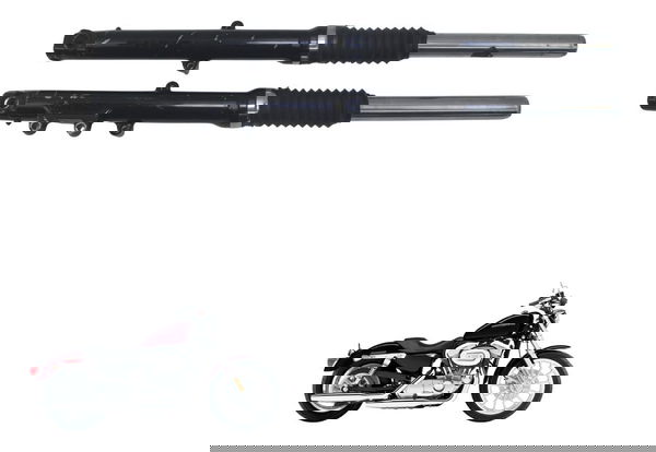 Bengala Par Completa Harley Xl 883 Sportster 04-06 Original