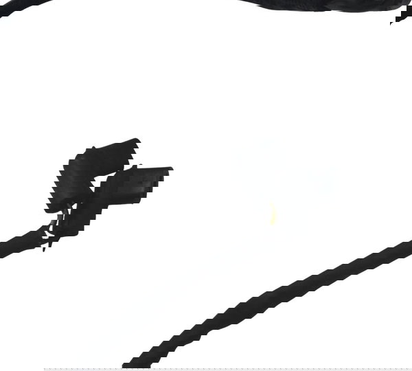 Chicote Principal Harley Xl 883 Sportster 04-06 Original