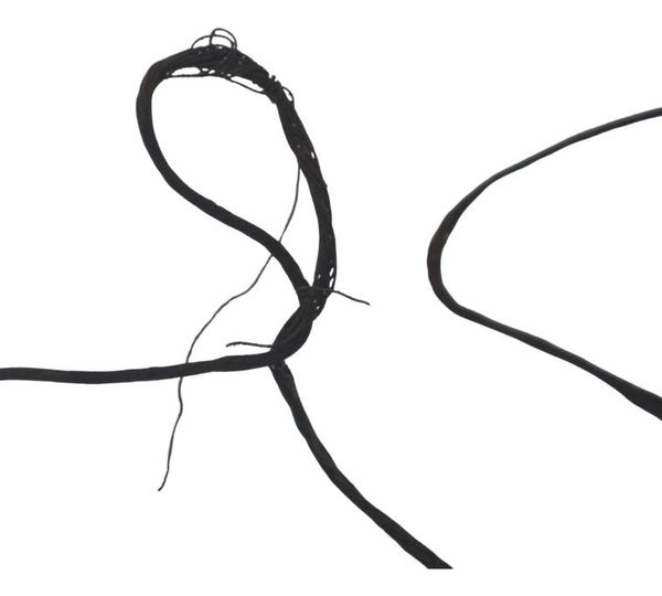 Estator S/plug C/detal Harley Xl 883 Sportster 04-06 Origina