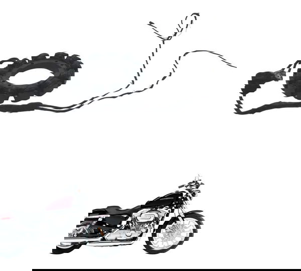 Estator S/plug C/detal Harley Xl 883 Sportster 04-06 Origina