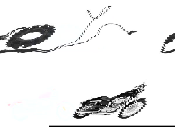 Estator S/plug C/detal Harley Xl 883 Sportster 04-06 Origina