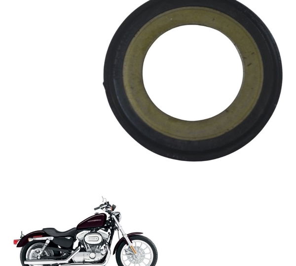 Guarda Pó Mesa Harley Xl 883 Sportster 04-06 Original