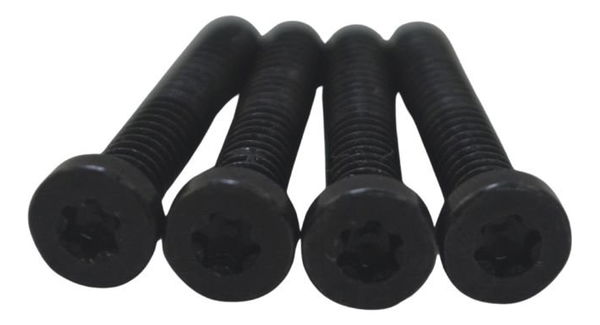 Jogo Parafuso Magneto Harley Xl 883 Sportster 04-06 Original