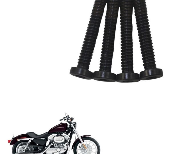 Jogo Parafuso Magneto Harley Xl 883 Sportster 04-06 Original