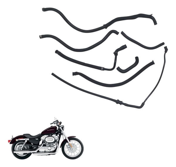 Kit Mangueiras Harley Xl 883 Sportster 04-06 Original