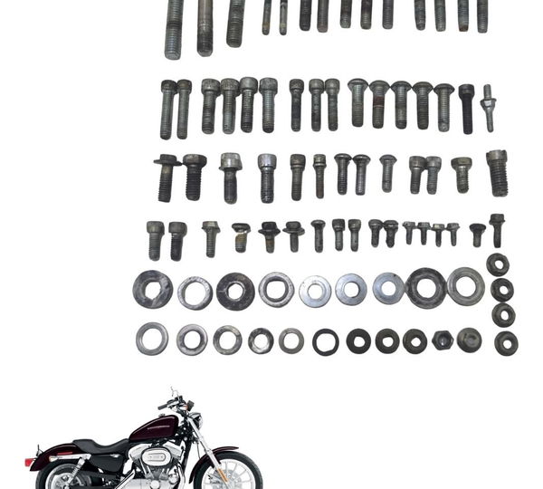 Kit Parafusos Diversos Harley Xl 883 Sportster 04-06 Origina
