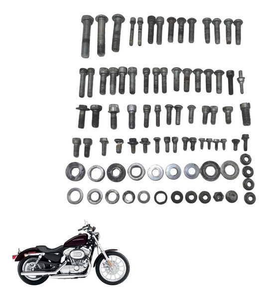 Kit Parafusos Diversos Harley Xl 883 Sportster 04-06 Origina