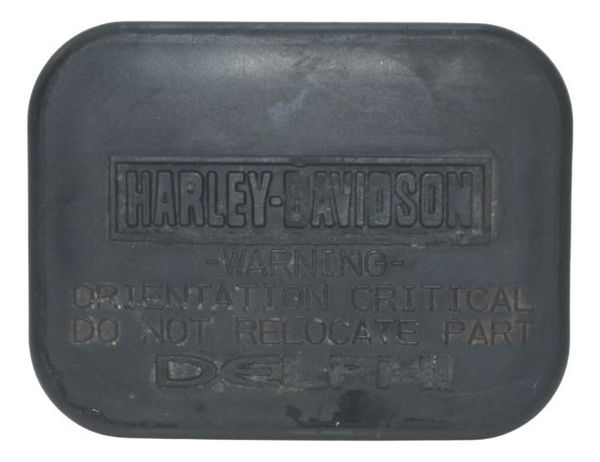 Módulo Segurança Tsm Harley Xl 883 Sportster 04-06 Original