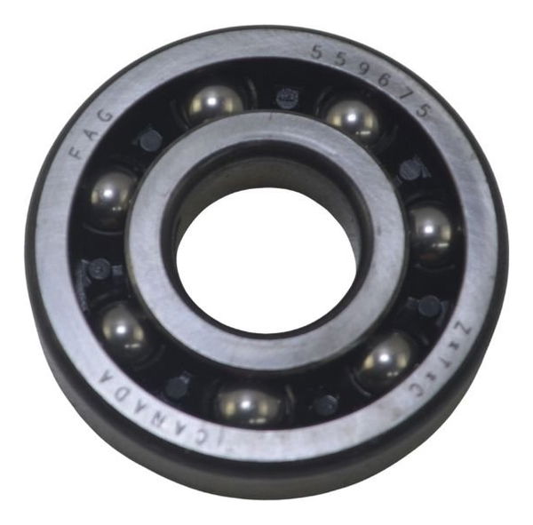 Rolamento Motor Harley Xl 883 Sportster 04-06 Original