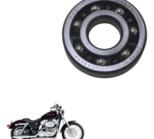 Rolamento Motor Harley Xl 883 Sportster 04-06 Original