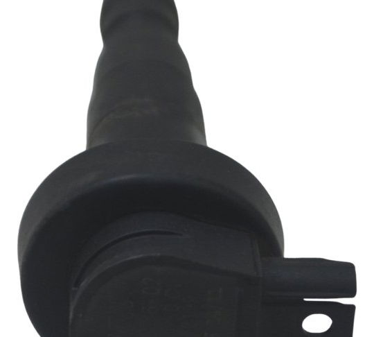 Bobina Ignição Bmw F 800 Gs 09-12 Original