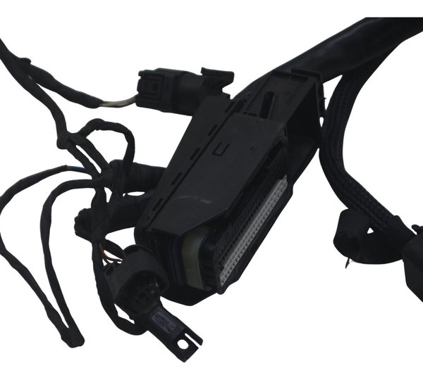 Chicote Principal Bmw F 800 Gs 09-12 Original