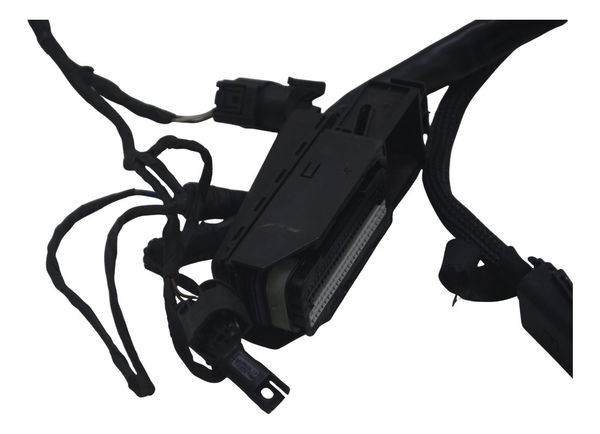 Chicote Principal Bmw F 800 Gs 09-12 Original