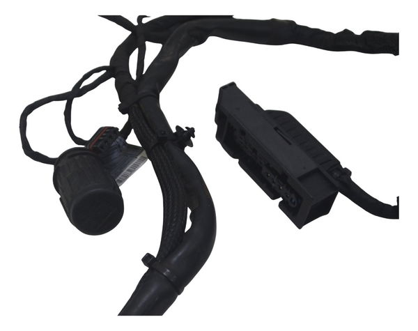 Chicote Principal Bmw F 800 Gs 09-12 Original