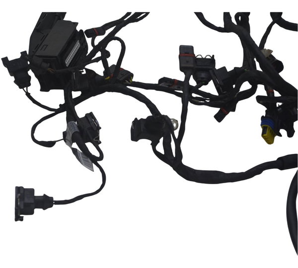 Chicote Principal Bmw F 800 Gs 09-12 Original